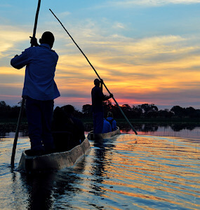 Top African Safari Destinations, Okavango Delta